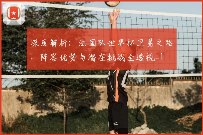 深度解析：法国队世界杯卫冕之路，阵容优势与潜在挑战全透视_1